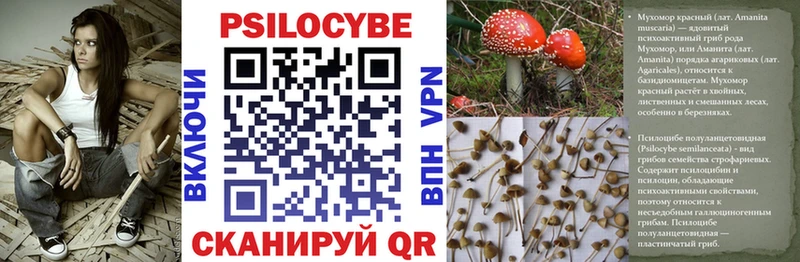 Галлюциногенные грибы Cubensis Большой Камень
